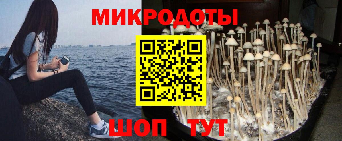 Псилоцибиновые грибы Cubensis  Вход с VPN  Галлюциногенные грибы ЛСД  Волхов 