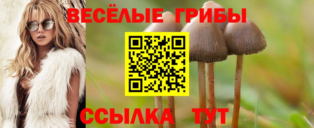 Псилоцибиновые грибы ЛСД Волхов